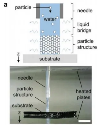 Direct-write colloidal assembly with important components labeled.