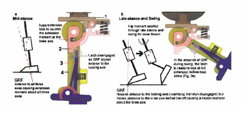 Operation of the mechanism through the mid-stance, late stance and swing phases. (a) shows the unlocking of the latch due to extension moment about the locking axis during mid-stance. As the GRF vector passes posterior to the knee axis (b), the Iower leg assembly flexes about the knee axis. During swing, the spring-bias keeps the latch (part 3) ready for locking at full extension.