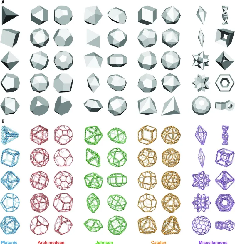 Image 2: A) 3D representations of geometric models inputted into the algorithm. B) 3D atomic models of DNA-rendered nanoparticles for various polyhedra generated through the automatic scaffold and sequence design method. 