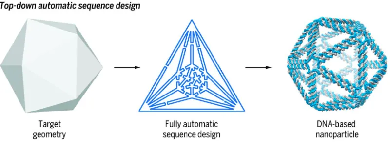 Image 1: Top-down specification of the target geometry, followed by fully automatic sequence design and 3D structure prediction at the atomic level.