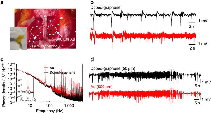 Figure 3: In vivo neural recordings in rats.