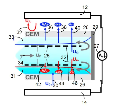 Illustration depicting the transport of waste products, metabolites, and electrolytes during the ICP separation process in one layer of the device. 