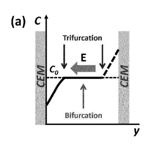 Schematic diagram showing ion depletion, intermediate, and ion enrichment zones within a channel