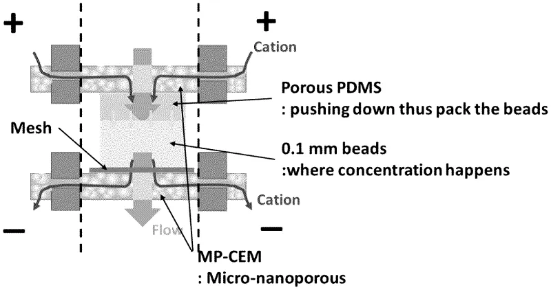 Diagram of the electrokinetic concentration device including a multiscale porous cation exchange membrane (MP‑CEM), a bead‑based microporous region, and a porous PDMS compression layer.