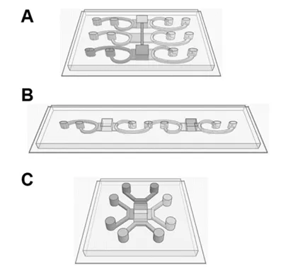 Representative 2Region-, Peripheral-, and DualNetwork-GelChip configurations with applications in modeling tissue-tissue interactions, blood-borne signaling, and cellular networks with independently controlled inputs.