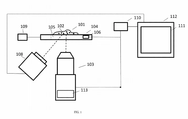 Image 1. Diagram illustrating the optical imaging system, which consists of the primary imaging system, a specimen holder, an auxiliary imaging system, a user input device, a processing unit and a display device. 