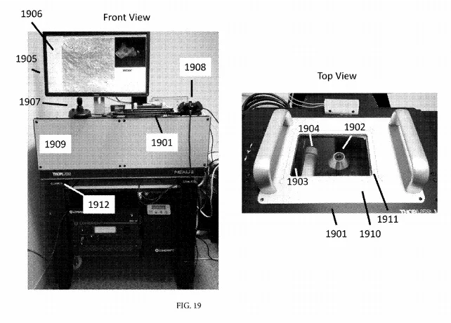 Image 2. Exemplary photographs of the front and top view of the described imaging system including a multiphoton microscope. 