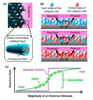 The ERHC concept. (a) Conceptual drawing of an ERHC system composed of interconnected conductive fibers with conformally coated with redox-switchable catalysts. (b) Schematic illustration of electrochemical control over the number of active sites and reaction rates. (c) Comparison between ERHC (green) and “on/off” bimodal responsive catalysis (purple) for kinetic control.