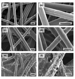 Large-area SEM images of (a,b) unmodified CFs, (c,d) PVFcoated CFs with 10 min deposition, and (e,f) PVF-coated CFs with 30 min deposition. Scale bar: 10 μm.