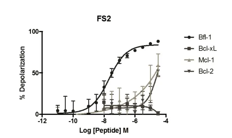 The BH3 profiling assay detects MOMP by monitoring JC-1 fluorescence in permeabilized cells treated with different peptides. Graphs demonstrating the BH3 profiling of FS2 with BCR-ABL-expressing B-lineage acute lymphoblastic leukemia (B-ALL) cell lines. Error bars indicate the standard deviation over 3 or more replicates.