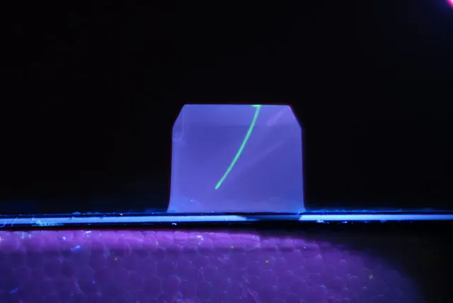 Curvature of microcapillary probe inserted into 0.6% agarose gel, visualized with fluorescein infusion and UV illumination.