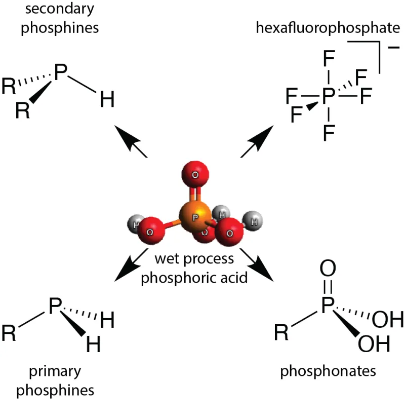 The range of useful products made accessible from phosphate by the invention without the need for conversion to white phosphorous