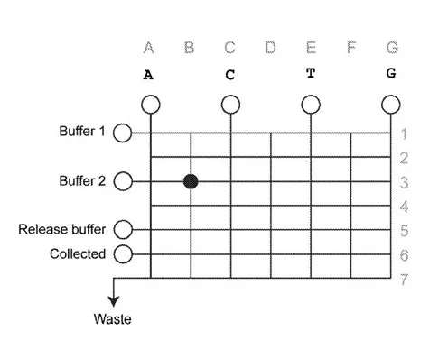 Figure 2: Schematic of grid layout that allows multiple sequence of moves to synthesize a DNA fragment having the sequence ATCG.  