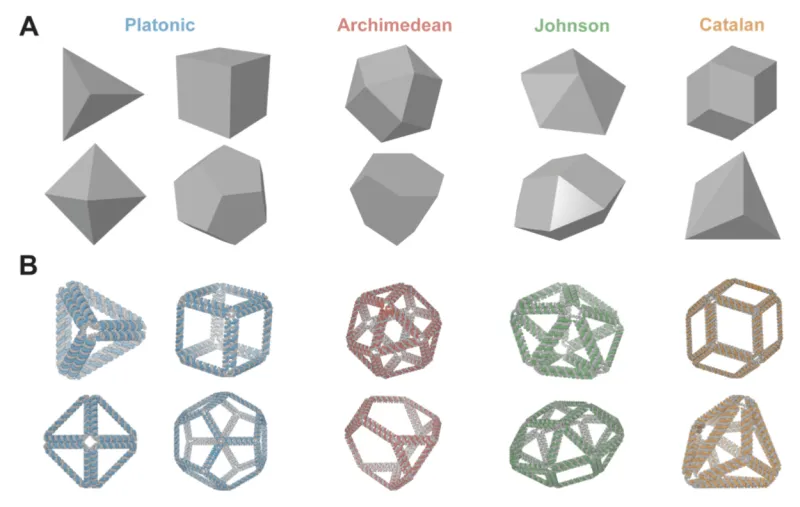 Image 2: 10 scaffolded RNA origami objects, where the illustrations in (A) represent input geometries and those in (B) are output 3D structure predictions.