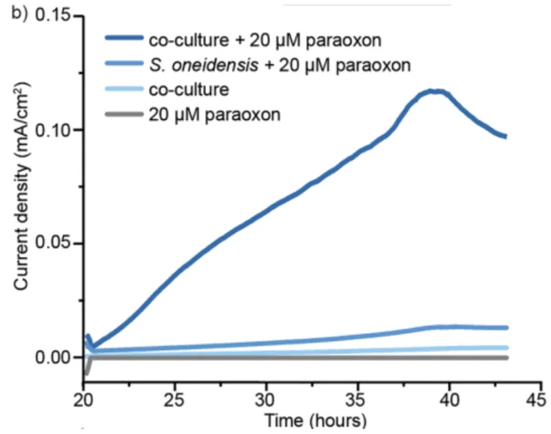 Image 2: Change in current density over time for the co-culture and 20 µM paraoxon, S. oneidensus and 20 µM paraoxon, just the co-culture, and just 20 µM paraoxon.