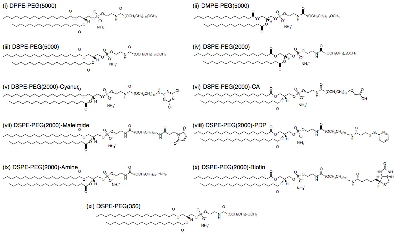 The structure of the phospholipid-PEG constructs used in this study to suspend the SWCNT. (i) DPPEPEG(5000), (ii) DMPE-PEG(5000), (iii) DSPE-PEG(5000), (iv) DSPE-PEG(2000), (v) DSPE-PEG(2000)-Cyanur, (vi) DSPE-PEG(2000)-carboxylic acid (CA), (vii) DSPE-PEG(2000)-Maleimide, (viii) DSPE-PEG(2000)-[3-(2-Pyridyldithio)-propionyl] (PDP), (ix) DSPE-PEG(2000)-Amine, (x) DSPEPEG(2000)-Biotin, (xi) DSPE-PEG(350). The number in parentheses is the molecular weight of the PEG chain in Daltons