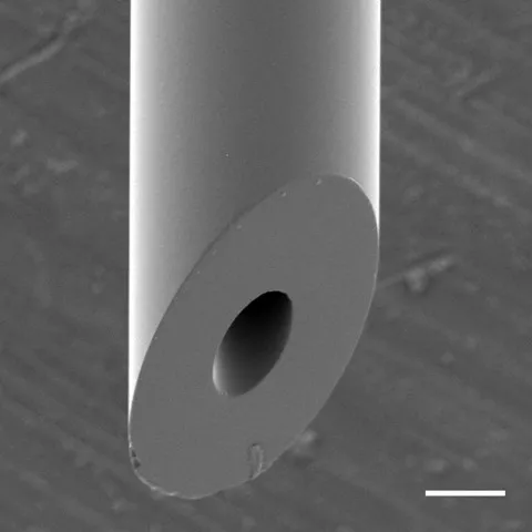 SEM image of beveled tip microcapillary.