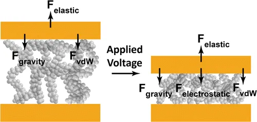 Force balance for a two-terminal squitch: In the off-state the molecular layer elastic force Felastic balances the force of gravity due to the mass of the top electrode (Fgravity) and the van der Waals force (FvdW) between the electrodes. The electrostatic force, Felectrostatic, imposed by an applied voltage contributes to FvdW to overcome Felastic to switch on the device.